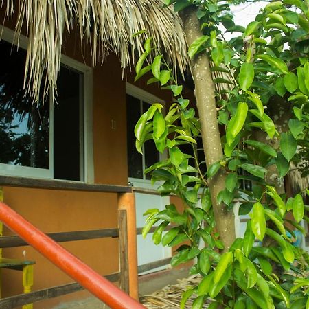 Posada La Huerta Mazunte Dış mekan fotoğraf