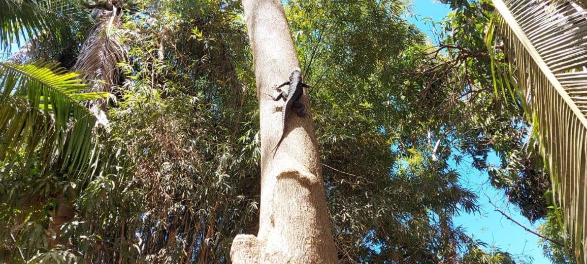 Posada La Huerta Mazunte Dış mekan fotoğraf